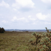Forest with Lyndhurst in distance, New Forest